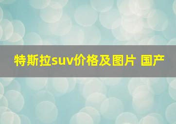 特斯拉suv价格及图片 国产